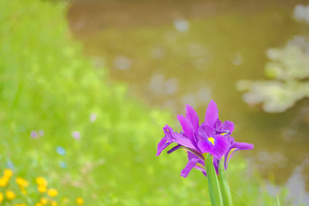 Photo taken at \
