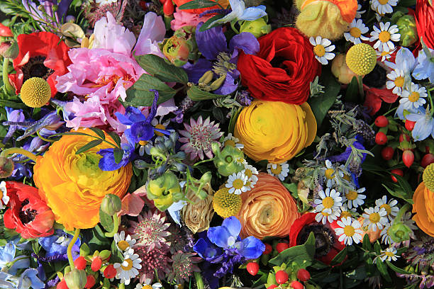 istock Wildflower arrangement in bright colors 183133903