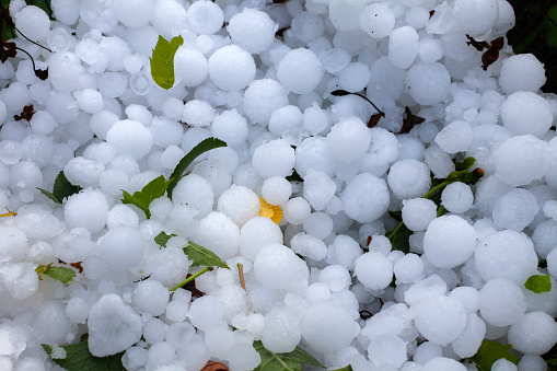 Full Frame Close-Up: Big Hailstones Captured Within Protective Nets. A Detailed View of Nature's Power and the Defense Offered by Hail Nets