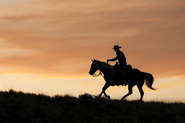 istock Silhouetted Cowboy rides before golden sunset 183136475