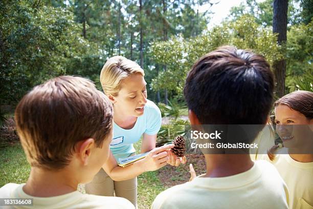 Nauczyciel Wyjaśnianie O Pinecone Aby Studenci Na Zajęcia W Terenie - zdjęcia stockowe i więcej obrazów Las