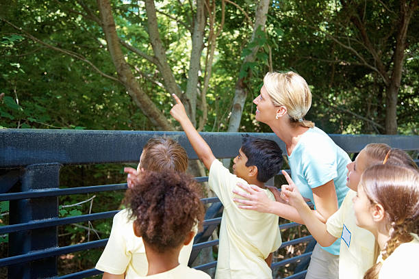 istock Students with their teacher pointing at something interesting 183136797