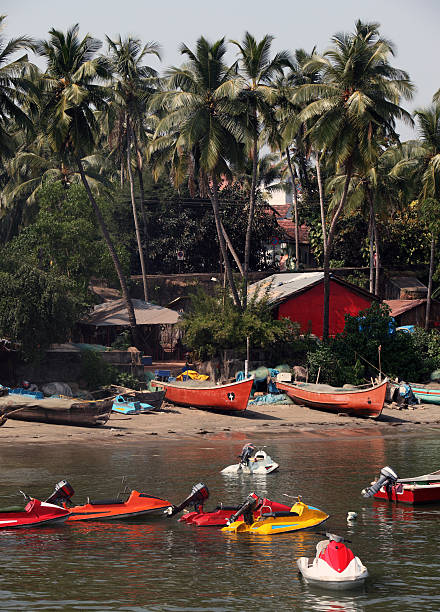 miramar praia e marina, panjim - goa beach india green - fotografias e filmes do acervo