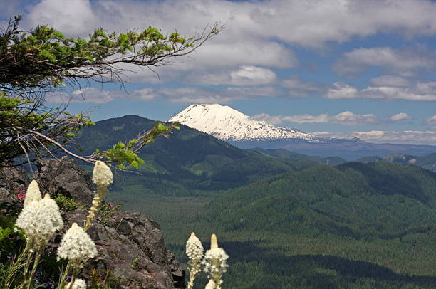 istock Snow covered Mt. Adams in Washington State 183137957