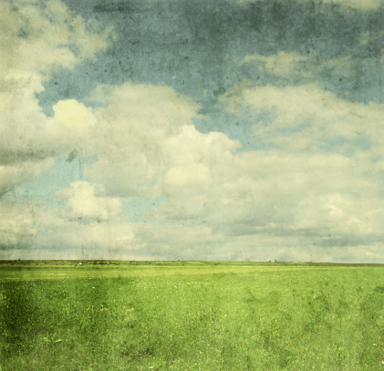Vintage image of green field and blue sky