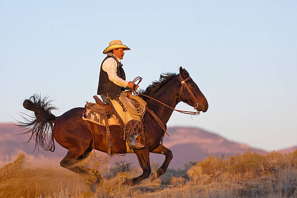 istock Horse kicks up dust as it streaks across frame 183138643