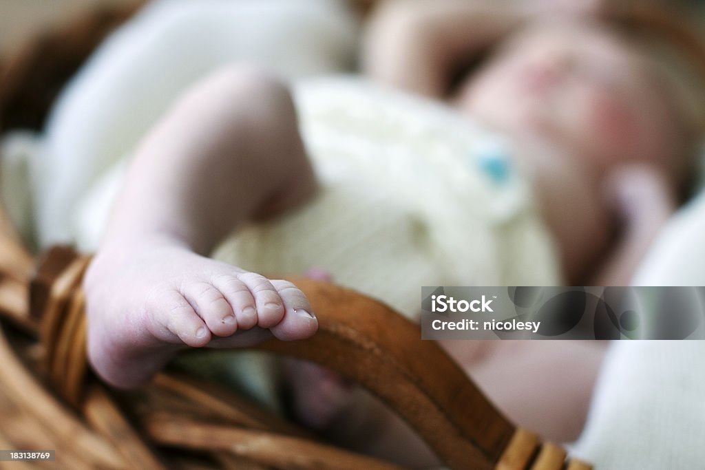 신생아를 진찰해야 바스켓에 - 로열티 프리 귀여운 스톡 사진