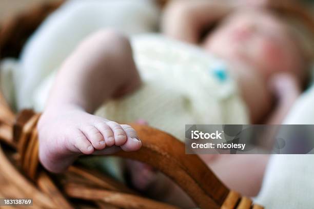 신생아를 진찰해야 바스켓에 귀여운에 대한 스톡 사진 및 기타 이미지 - 귀여운, 낮잠, 누워있기