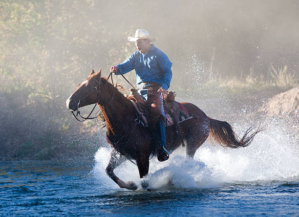 istock Cowboy gallops horse through stream 183138838