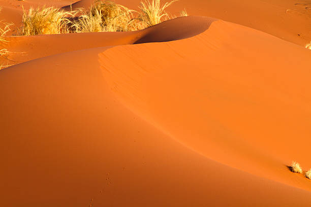 istock Red dunes of Sossusvlei, Namibia 183139182