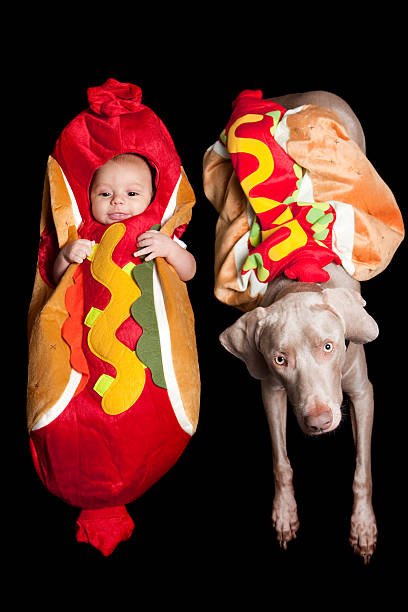 baby und haustier in halloween-kostümen hot dog - wearing hot dog costume stock-fotos und bilder