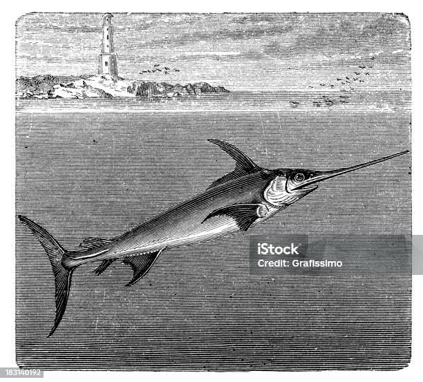 Grawerunek Swordfish Pływanie W Morze - Stockowe grafiki wektorowe i więcej obrazów Życie w morzu - Życie w morzu, Ilustracja, Morze