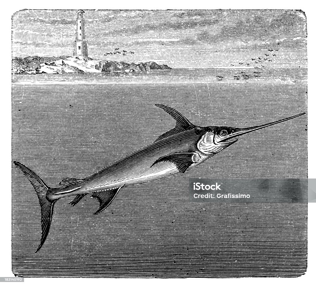 Гравировка меч-рыбы плавать в открытом море - Стоковые иллюстрации Морской мир роялти-фри