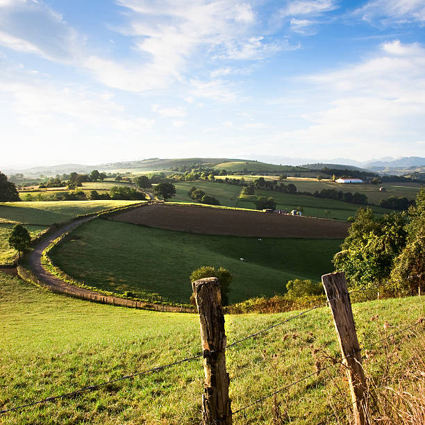 istock green countryside under a blue sky in summer 183140518