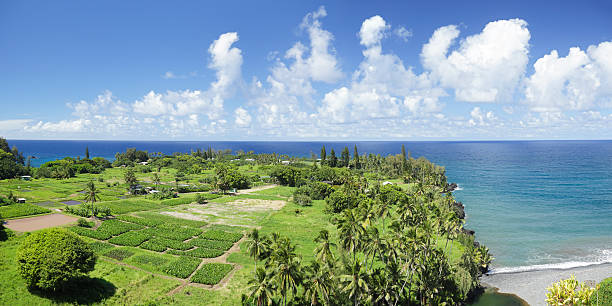 keanae 페닌슬라 - hana maui sea scenics 뉴스 사진 이미지