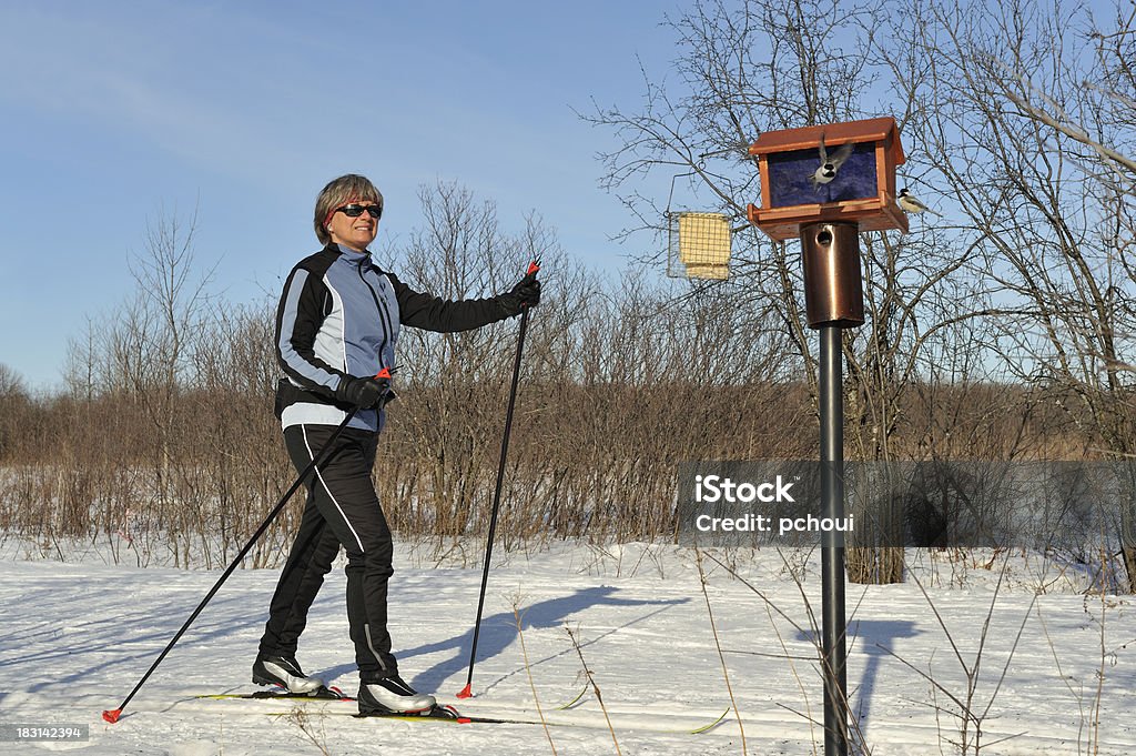 Mulher de esqui cross-country, Desporto de Inverno, aves - Royalty-free 30-39 Anos Foto de stock