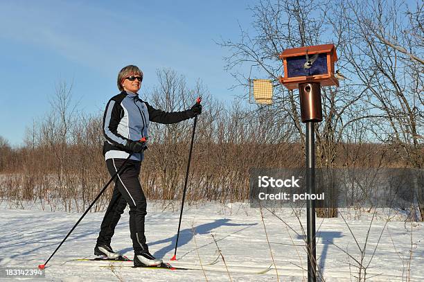 Mulher De Esqui Crosscountry Desporto De Inverno Aves - Fotografias de stock e mais imagens de 30-39 Anos