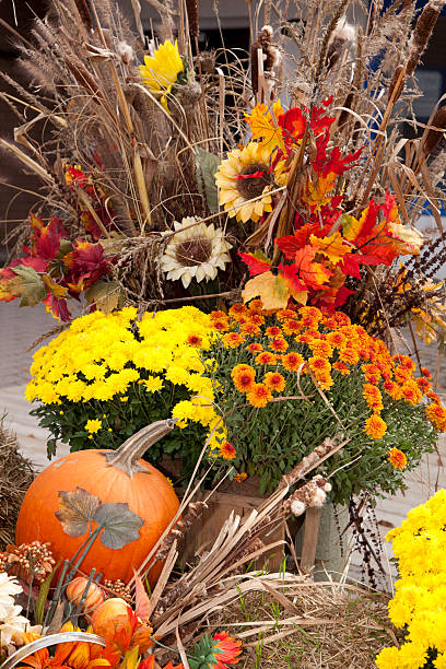 istock Cornucopia of Fall flowers and Pumpkins 183142429