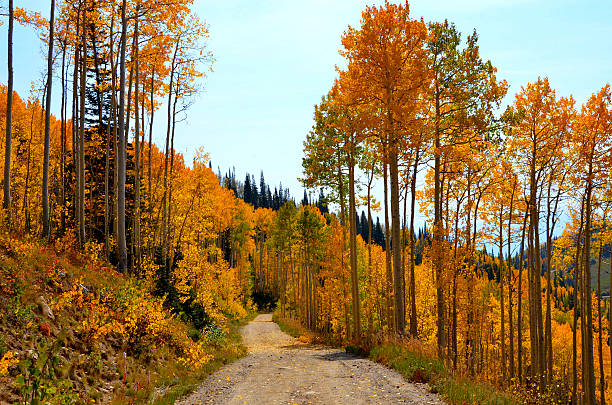 istock Fall Colors in the Rocky Mountains 183143996