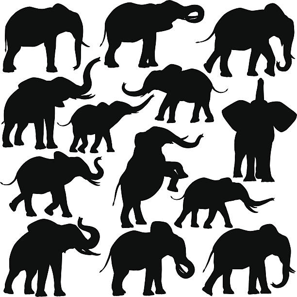 african слонов - african elephant stock illustrations