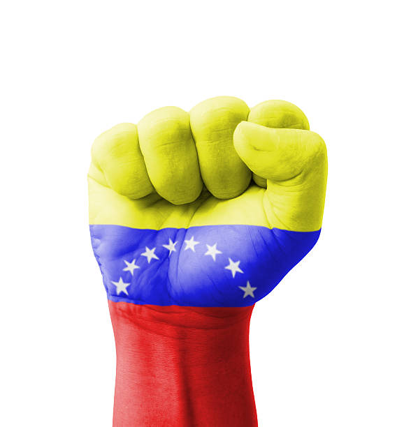 istock Fist of Venezuela flag painted, multi purpose concept 183146848