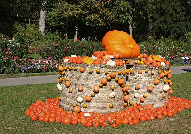 Fair of pumpkins in the garden in Ludwigsburg