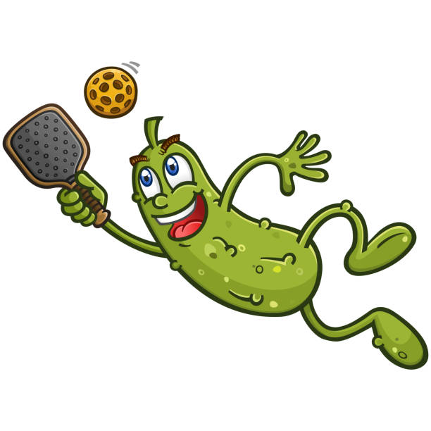 Pickle cartoon diving to hit a pickleball with a paddle vector art illustration
