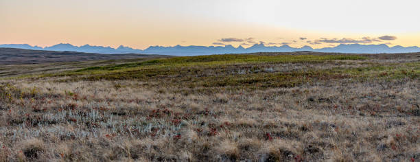 Looking across a natural fescue grass pasture in southern Alberta at the Rocky Mountains at dusk stock photo