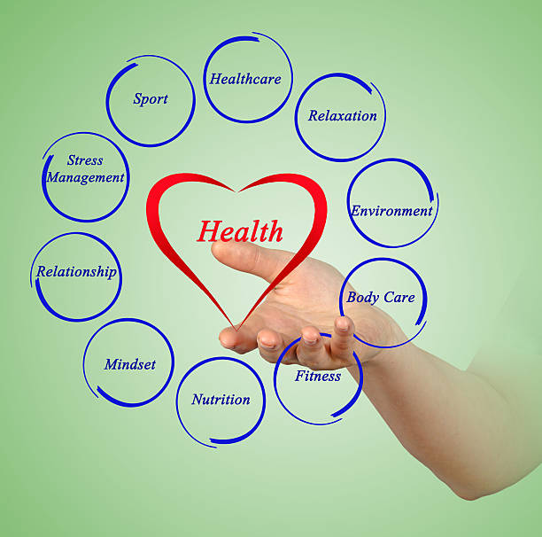 diagramm der gesundheit - human cardiovascular system heart shape human hand healthy lifestyle stock-fotos und bilder