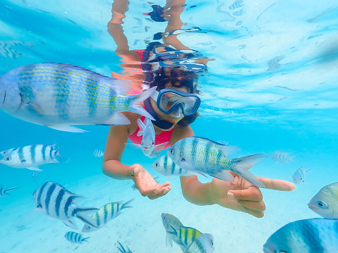Asian woman on a snorkeling trip at Samaesan Thailand. dive underwater with fishes in the coral reef sea pool. Travel lifestyle, watersport adventure, swim activity on a summer beach holiday