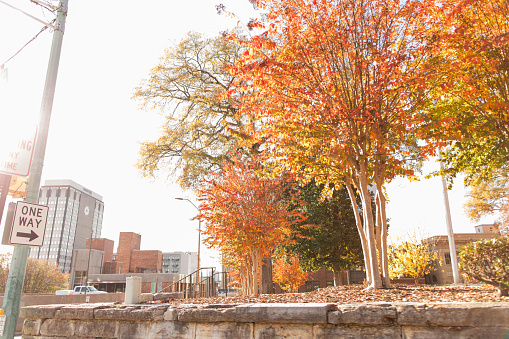 Colorful Autumn Scenes in Chattanooga, Tennessee During Thanksgiving Week in the Fall of 2023