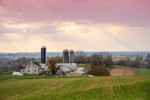 Gap, USA - November 11, 2023. Amish farm in Autumn, Lancaster, Pennsylvania, USA