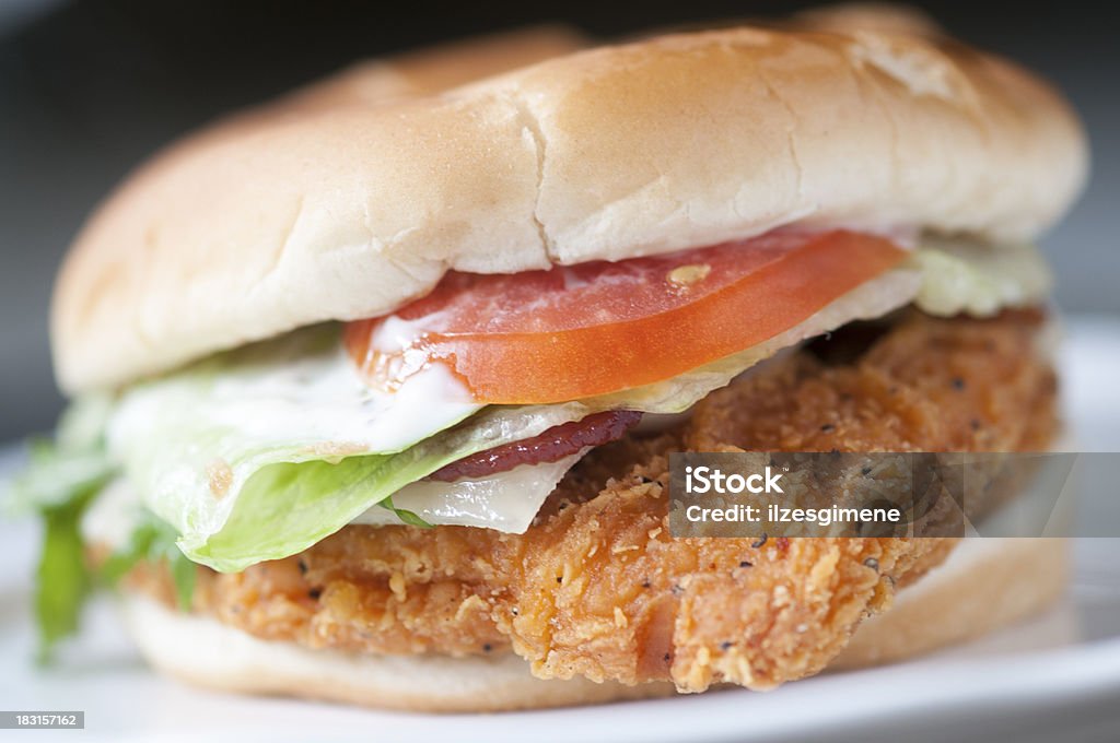 chicken sandwich close up of chicken sandwich Fried Chicken Stock Photo