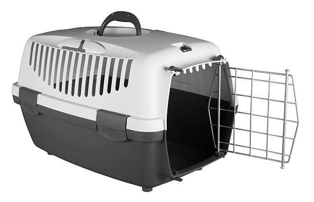 istock Pet carrier for traveling 183157170