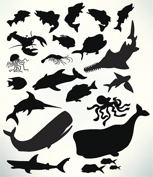 Sea Life - Fish, Shark, Whale, Lobster, Jellyfish Sea Life - Fish, Shark, Whale, Lobster, Jellyfish, crab, octopus, sailfish, flying fish. Check out my "Nautical & Beach" light box or my "Ships, Sailing & Sea" light box for more. fish silhouettes stock illustrations