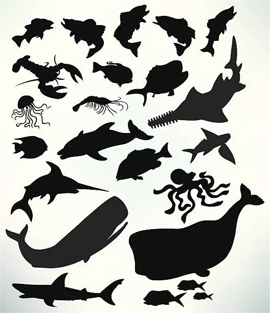Vector illustration of Sea Life - Fish, Shark, Whale, Lobster, Jellyfish