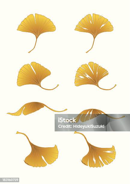 Coloredleavesginkgo - Immagini vettoriali stock e altre immagini di Albero deciduo - Albero deciduo, Autunno, Cultura giapponese