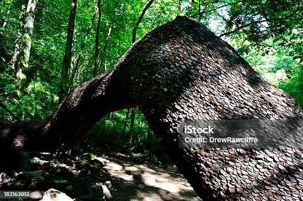 Money Tree Stock Photo - Download Image Now - Currency, Falling, Tree
