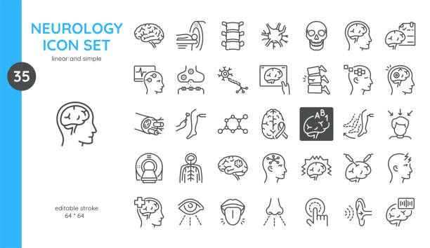 zestaw ikon neurologicznych. cienkie liniowe ilustracje mózgu, neuronu, rdzenia kręgowego, synaps, rezonansu magnetycznego i tomografii komputerowej, percepcji, diagnostyki i badania zdrowia psychicznego. izolowane znaki wektorowe konturu. - cat scan machine stock illustrations