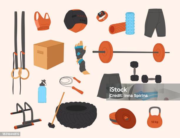 Workout Objects Vector Workout Objects Set Gym Equipment Flat Design Collection On ...