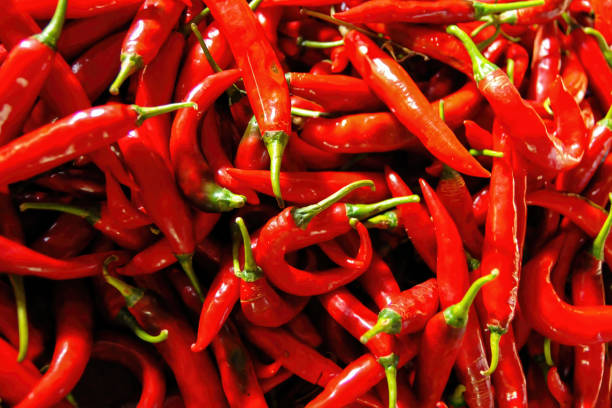 istock a bunch of chilies arranged randomly and photographed from above 1831650547