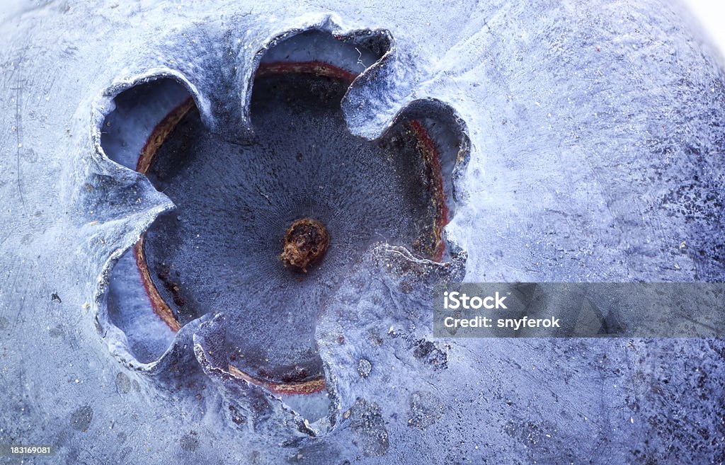 Blueberry. Extreme closeup of blueberry good for background. Magnification Stock Photo