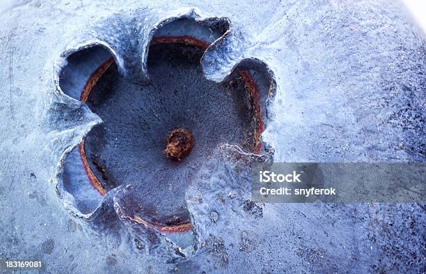 Blueberry Stock Photo - Download Image Now - Magnification, Blueberry, Extreme Sports