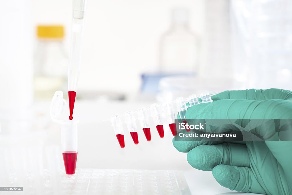Tubos de plástico preparados para amplificación de ADN - Foto de stock de ADN libre de derechos