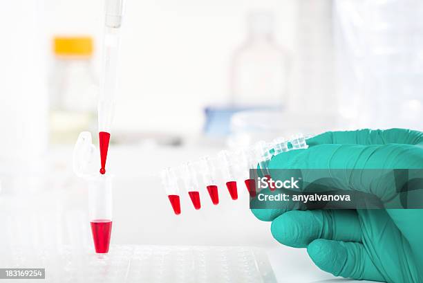 Tubos De Plástico Preparados Para Amplificación De Adn Foto de stock y más banco de imágenes de ADN