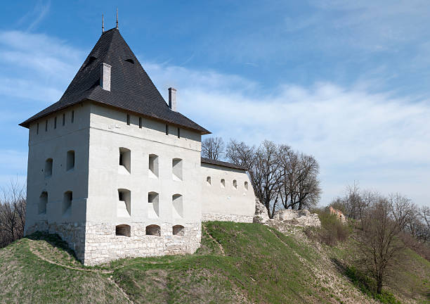 Castle in Halych stock photo
