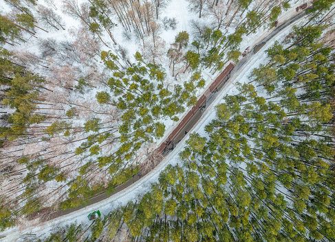 Flight over the autumn mountains with road serpentine and pine forest. Top down view. Landscape photography. Driving in winter. Natural winter landscape from air. Forest under snow a the winter time.