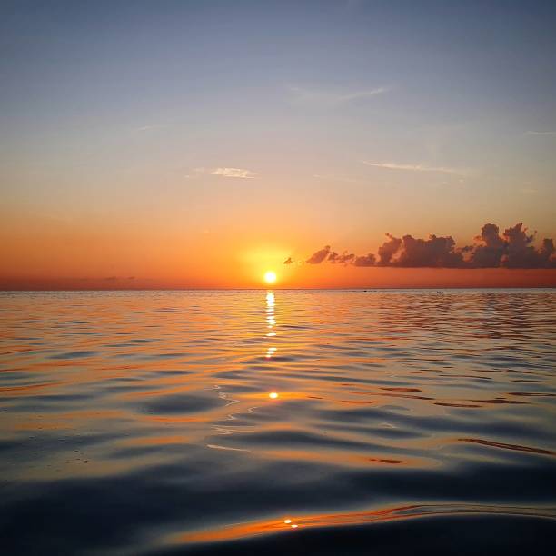 istock Beauty of Sunset 1831737416