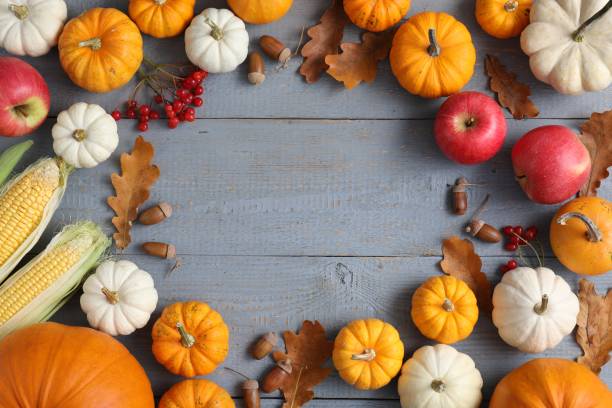 istock Thanksgiving day. Flat lay composition with pumpkins on grey wooden table, space for text 1831767114