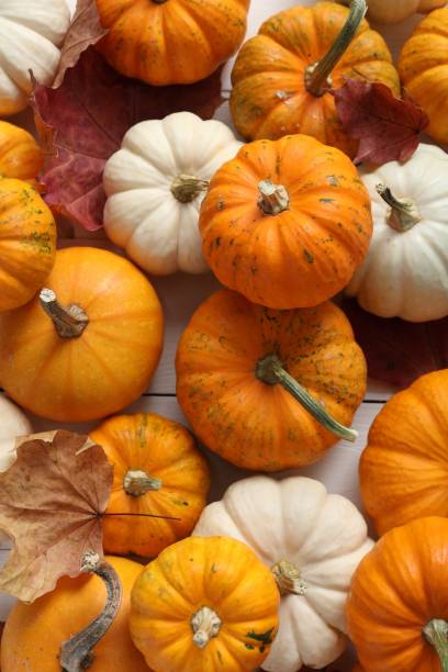 istock Thanksgiving day. Flat lay composition with pumpkins on table 1831769182